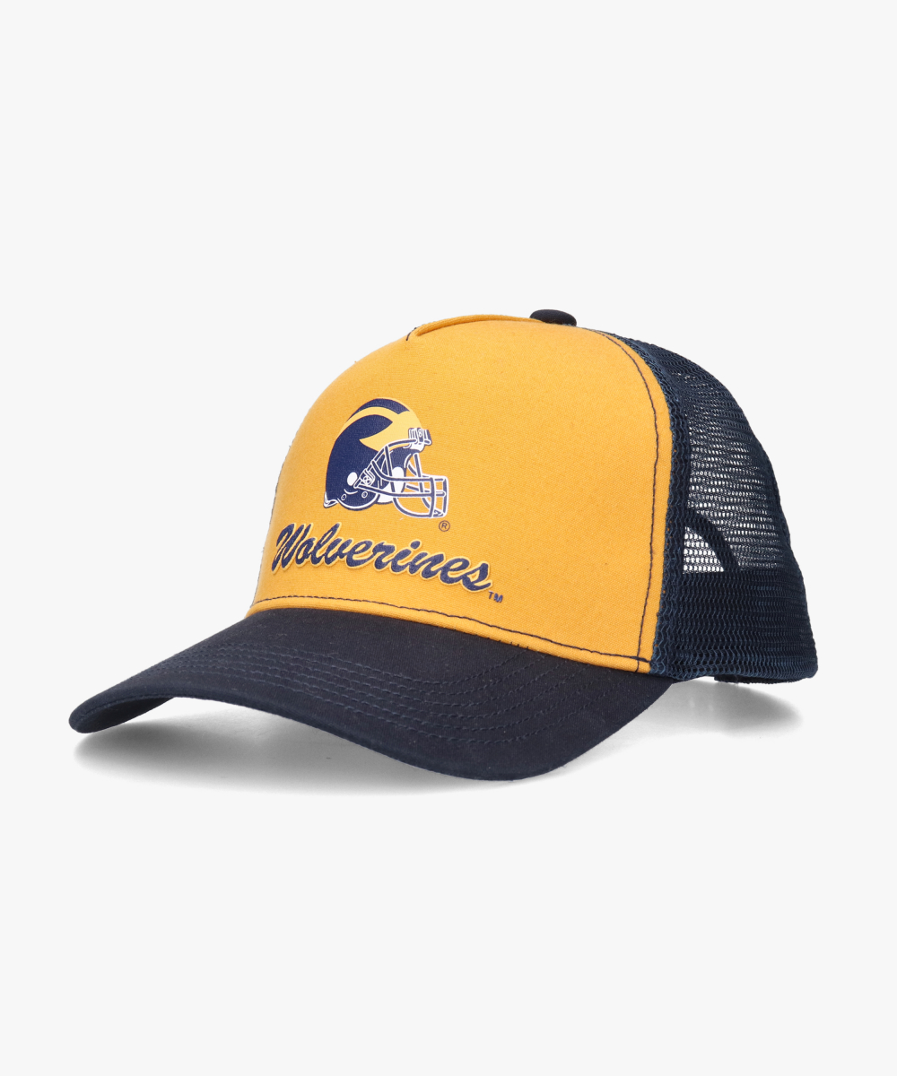 Michigan CAMVAS MESH CAP