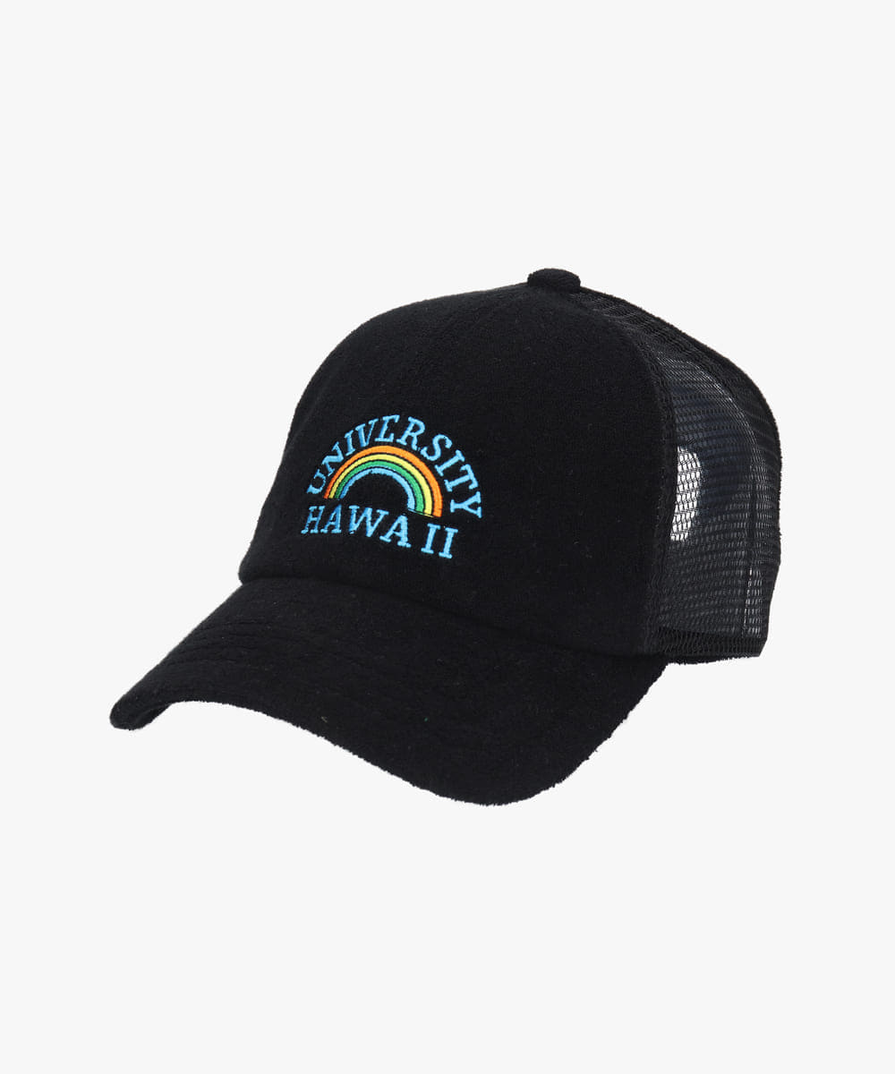 UNIVERSITY OF HAWAII  PILE MESH CAP