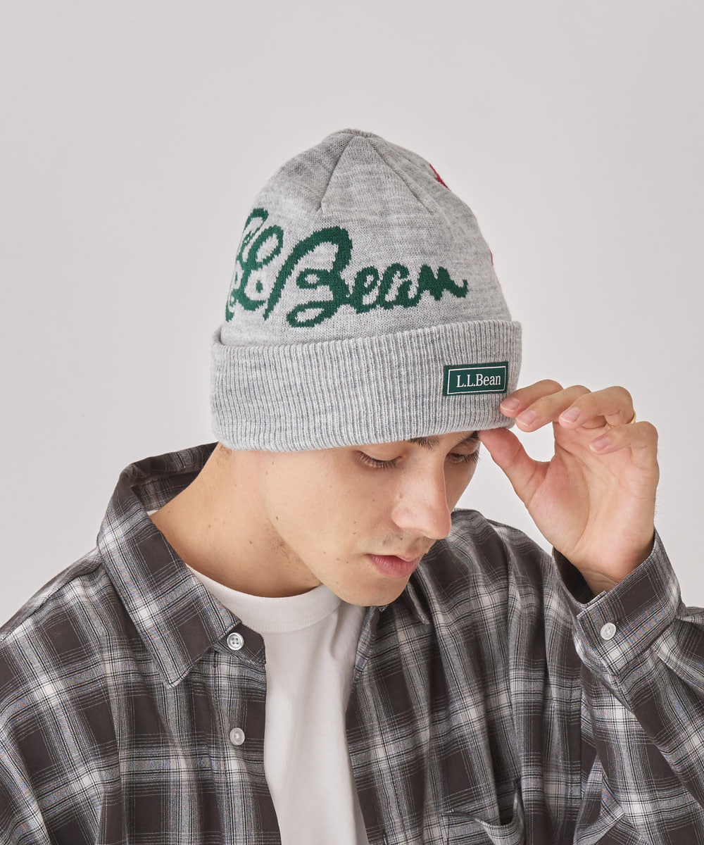 GRAY BEAR